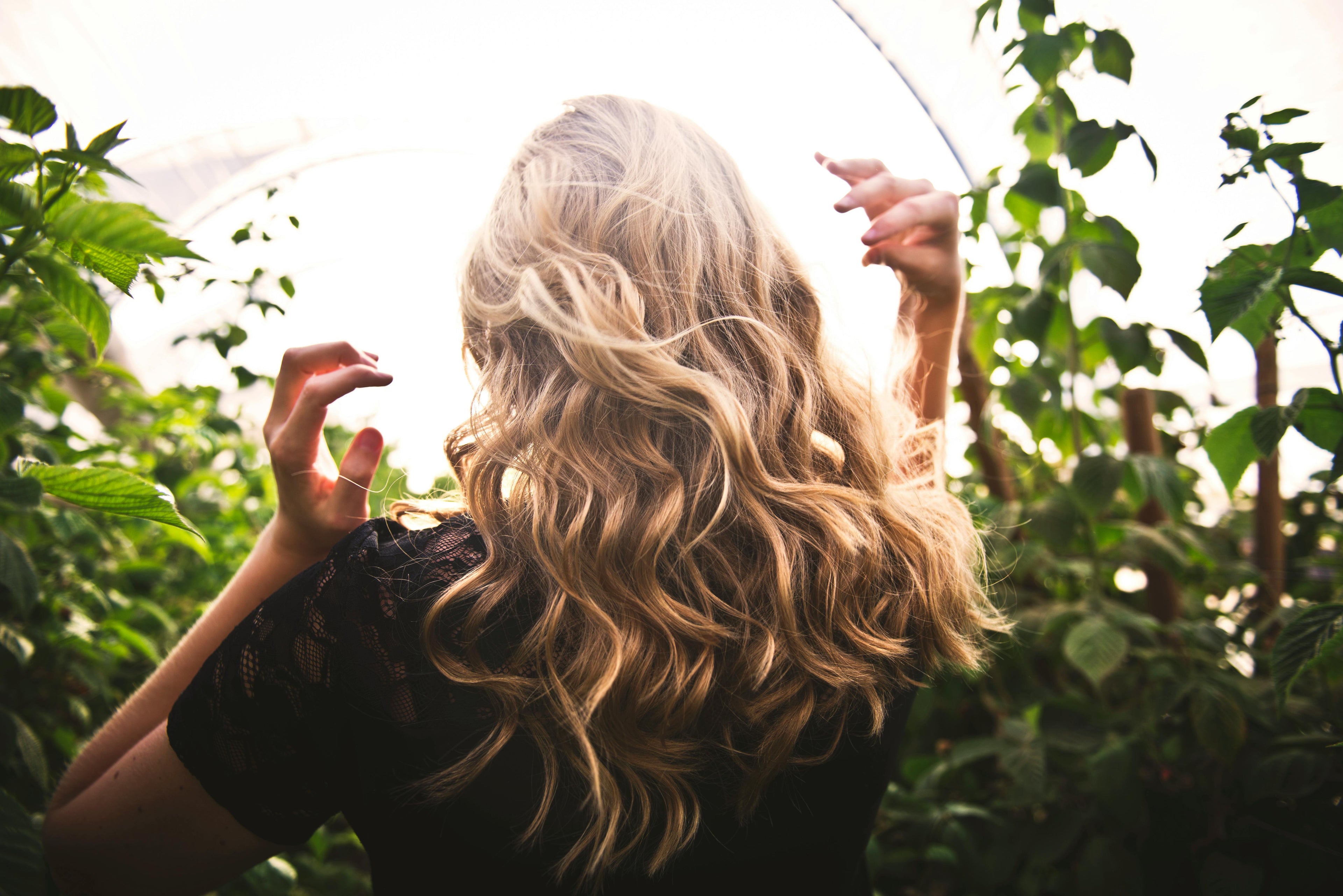 Hair Care - Happily Living